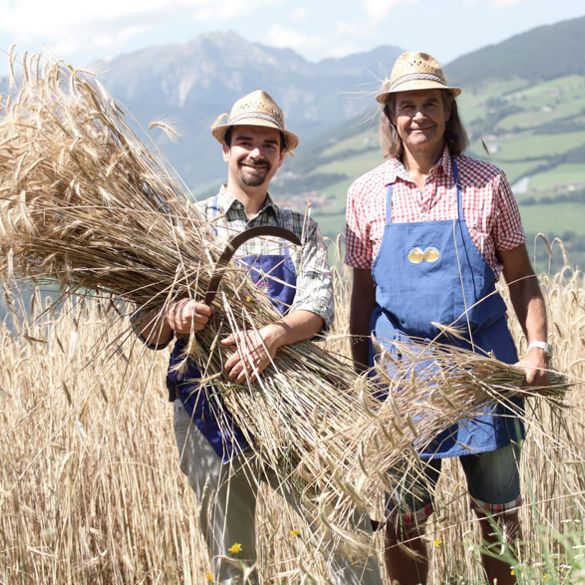 Benjamin und Helmuth Profanter bei der Getreideernte