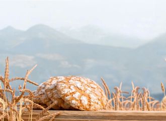 Pane in un campo di cereali